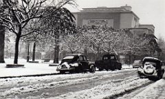 SIDI BEL ABBES 1954 SOUS LA NEIGE  (5)